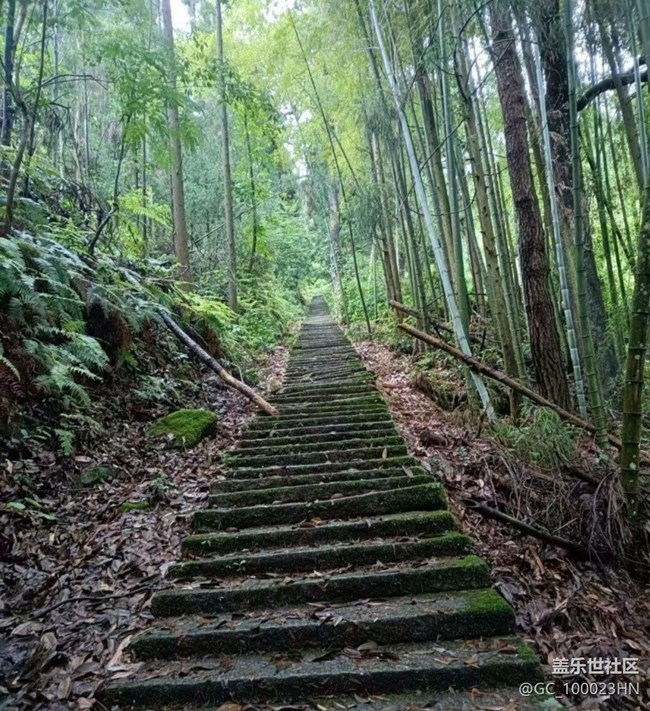 【夏日清凉】运动