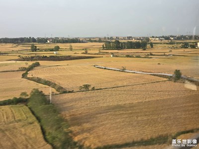 【漫旅拾光】+金色麦田