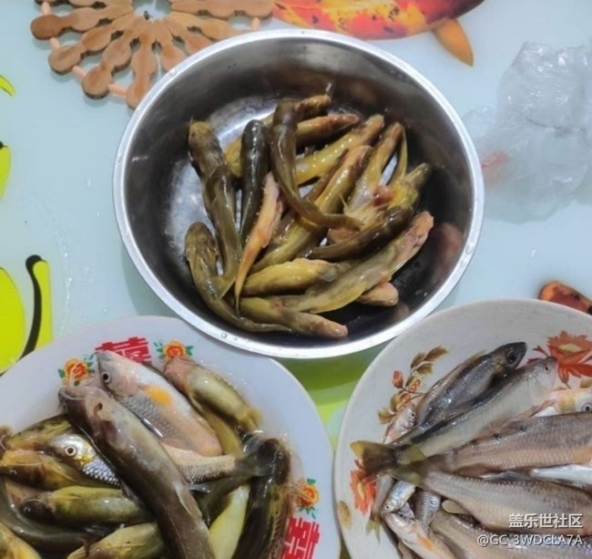 【浅尝初夏】杂鱼汤