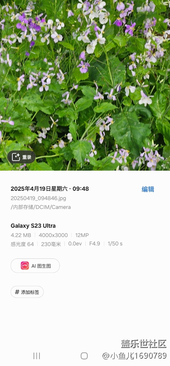 【四月照片核实】【拈花拾趣】花间
