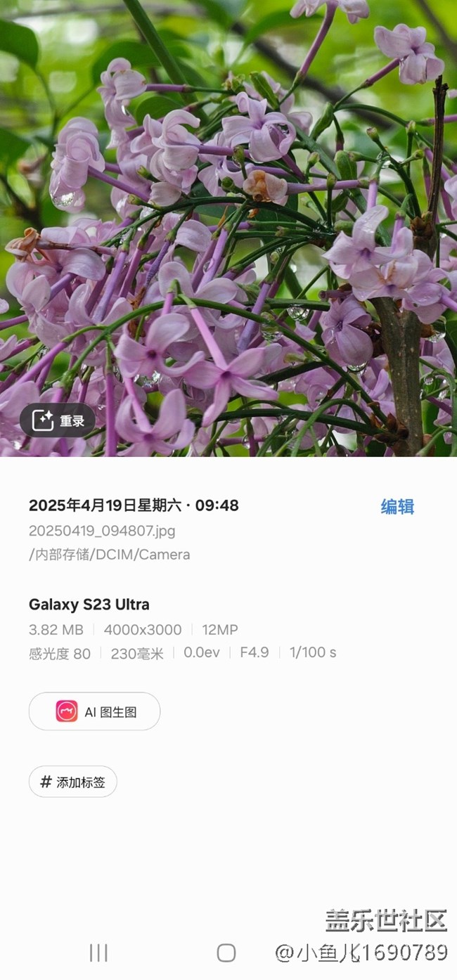 【四月照片核实】【拈花拾趣】花间