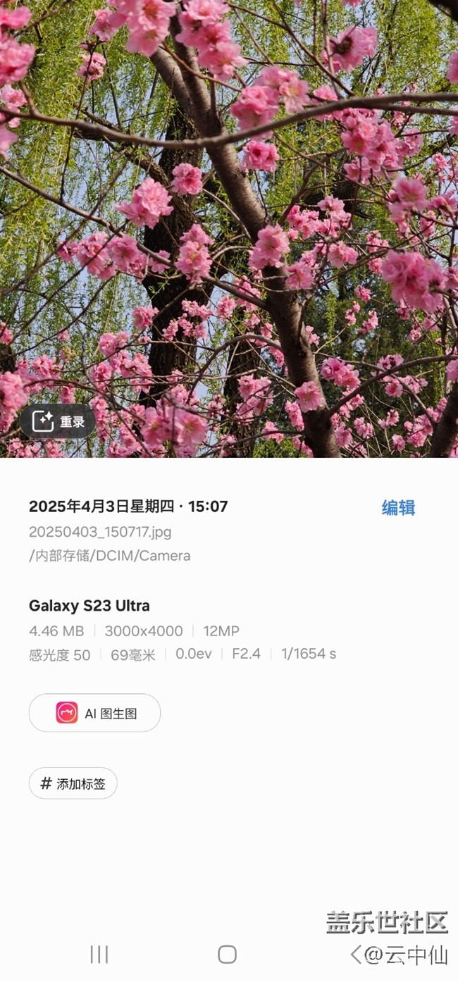 【四月照片核实】【拈花拾趣】柳前花