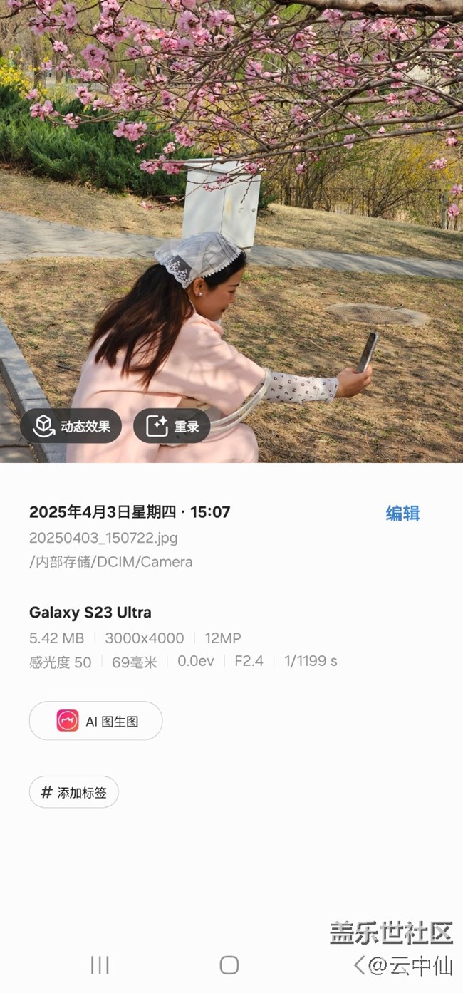 【四月照片核实】【拈花拾趣】柳前花