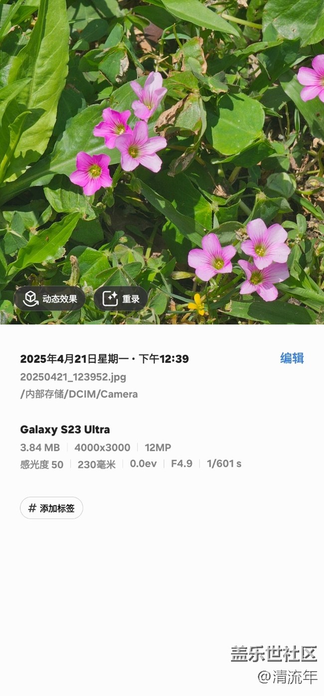 【4月照片核实】多彩花开