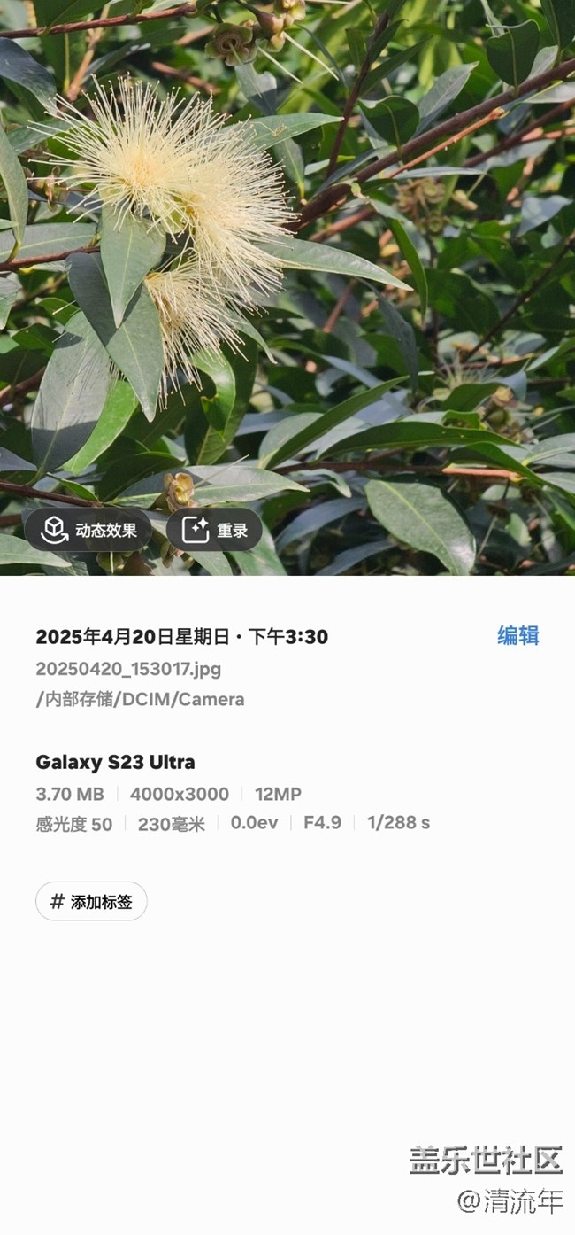 【4月照片核实】多彩花开