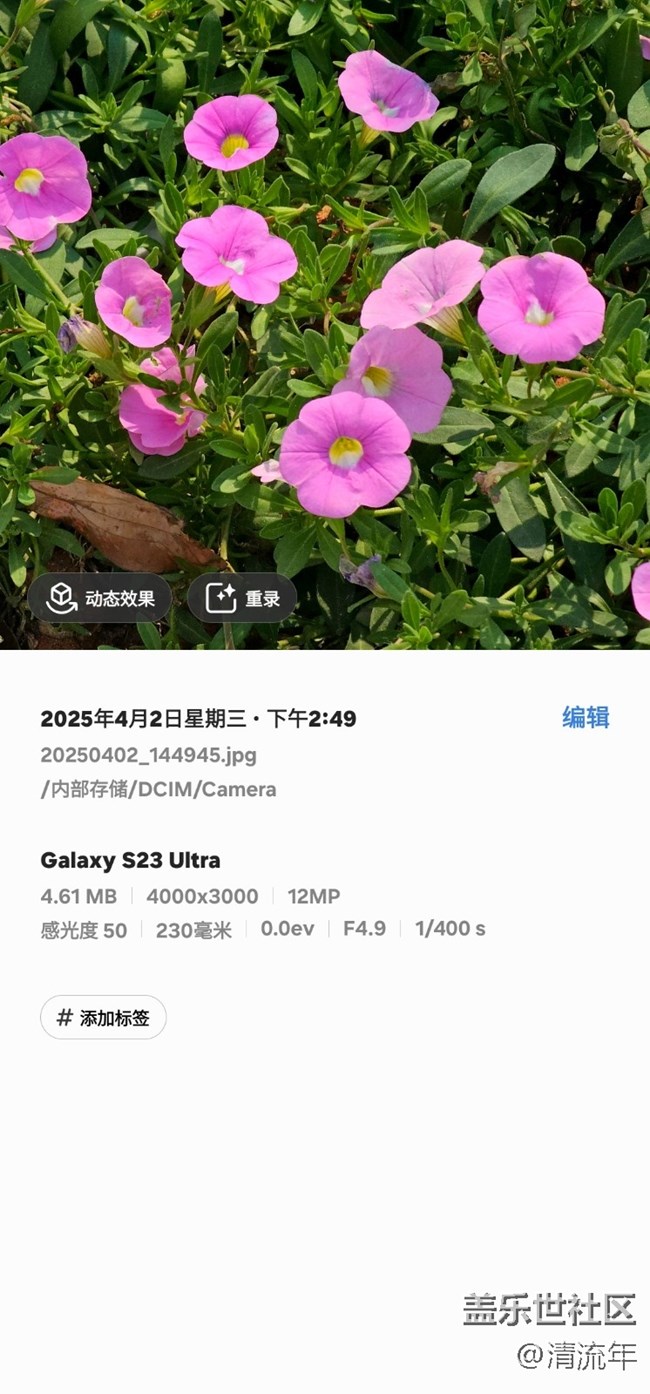 【4月照片核实】多彩花开