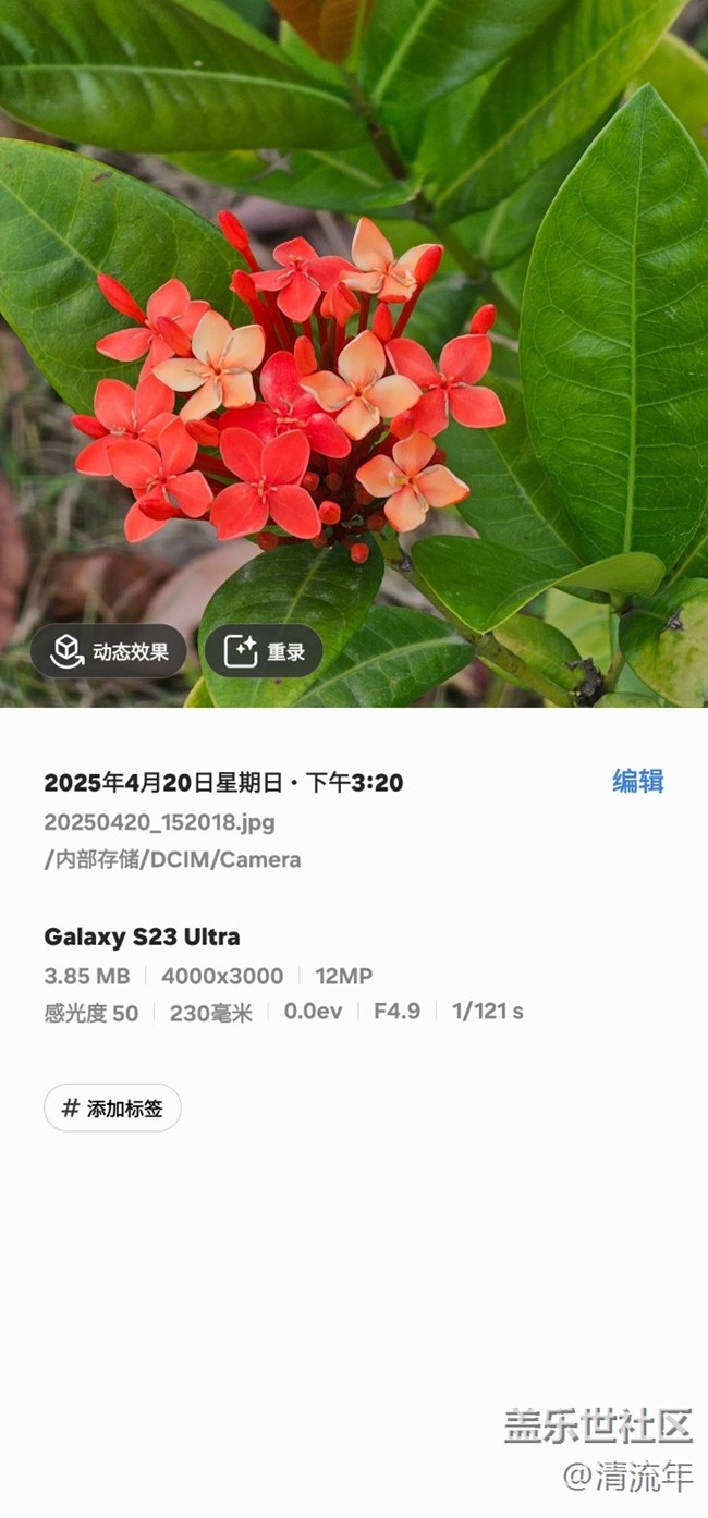 【4月照片核实】多彩花开