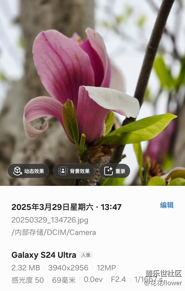 【4月照片核实】