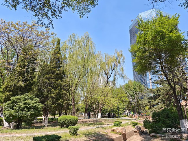 中山公园摄影，回顾