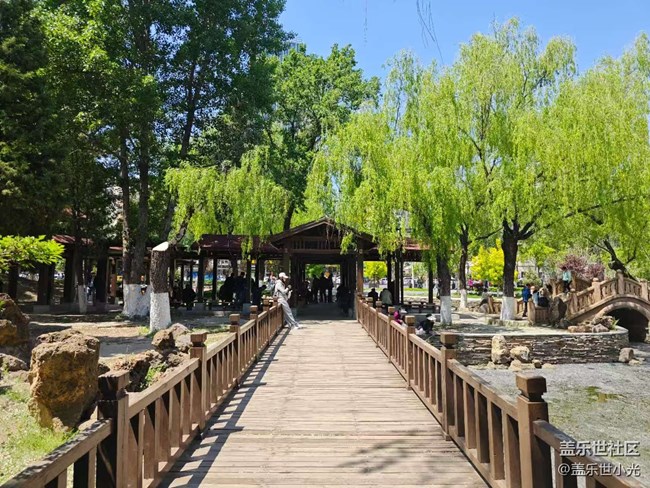 沈阳中山公园行行摄摄活动回顾