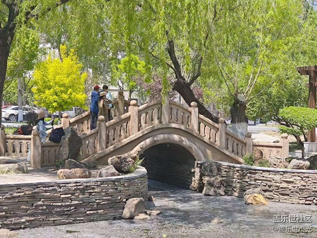 沈阳中山公园行行摄摄活动回顾
