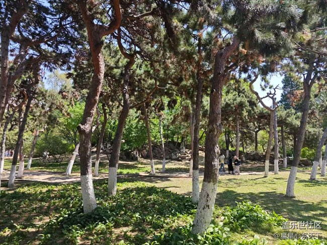 在喧嚣中触摸历史的纹路——中山公园回顾 在喧嚣中触摸历史的纹路——中山公园回顾