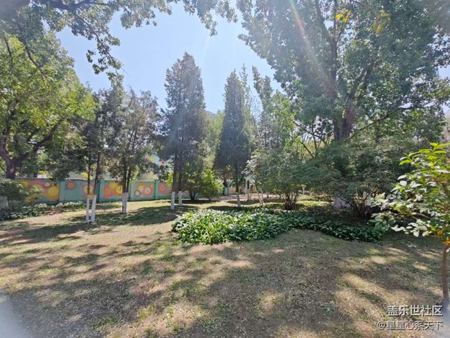 在喧嚣中触摸历史的纹路——中山公园回顾 在喧嚣中触摸历史的纹路——中山公园回顾