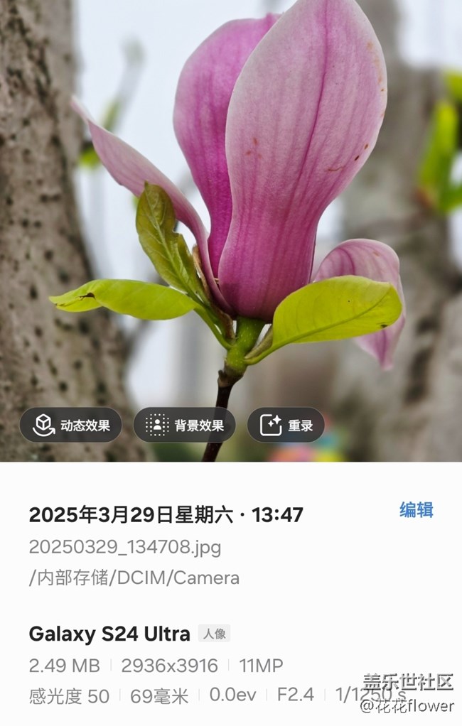 【4月照片核实】