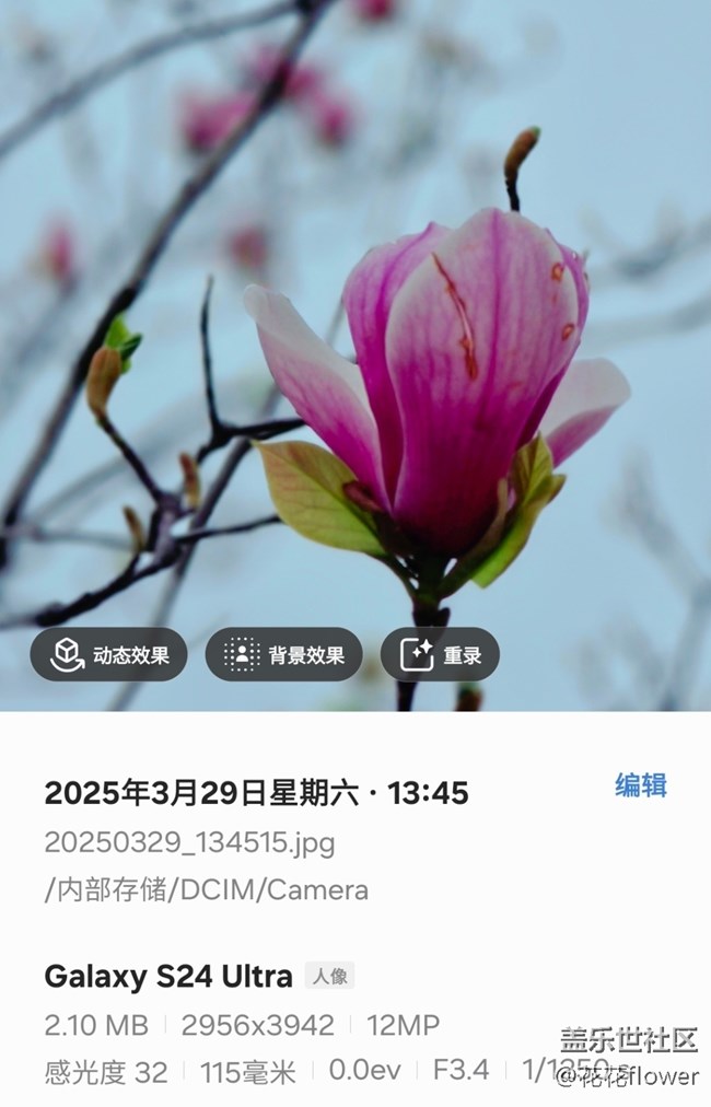 【4月照片核实】