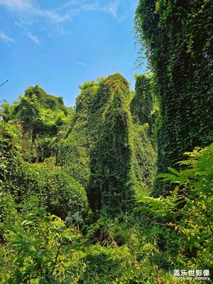 吴山风景区