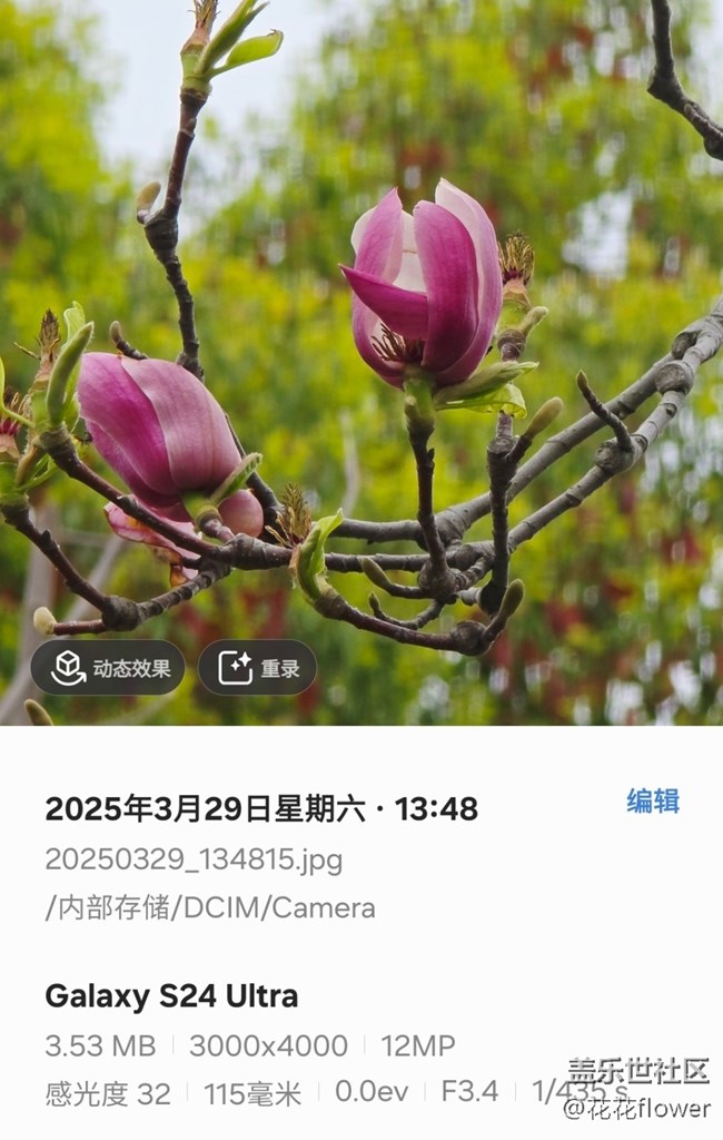 【4月照片核实】