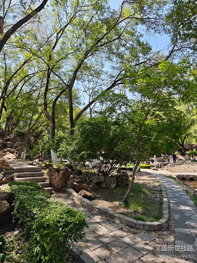 中山公园摄影，回顾