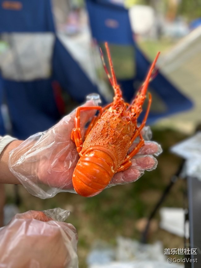 【夏日清凉】自驾游连云港-徐州