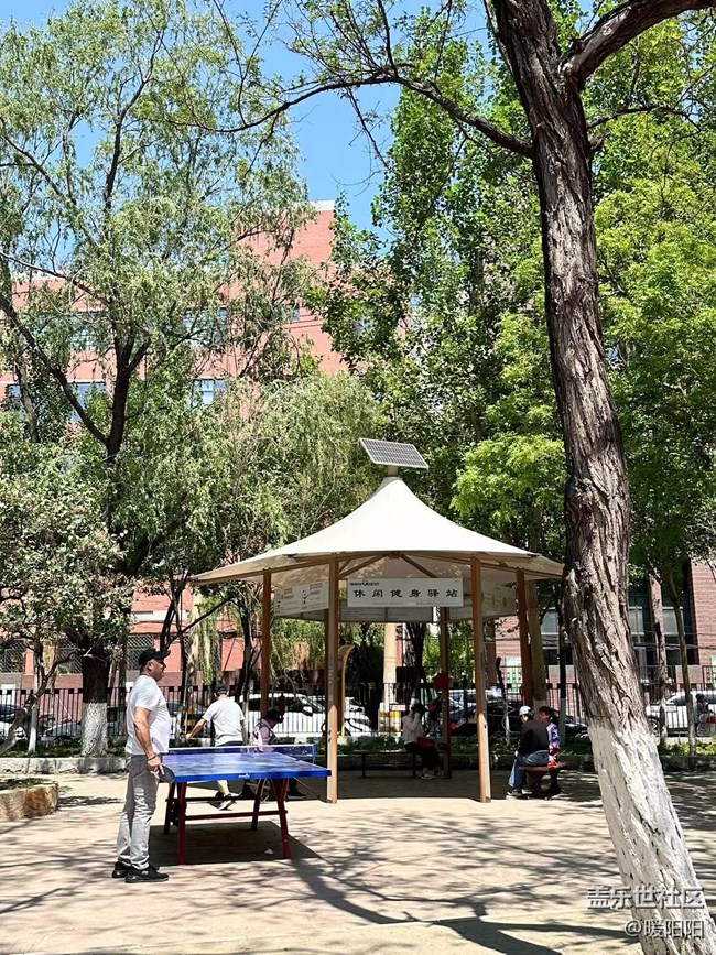 踏青赏景，沈阳中山公园，三星摄影回顾
