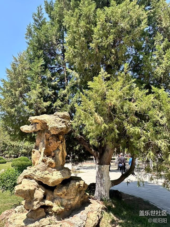踏青赏景，沈阳中山公园，三星摄影回顾