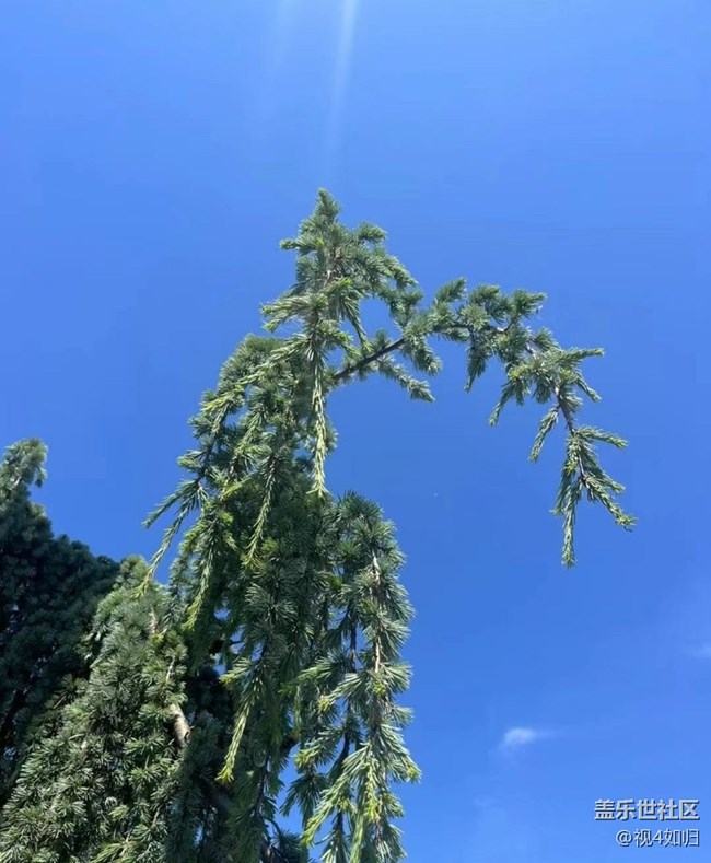 【夏日清凉】蓝天白云