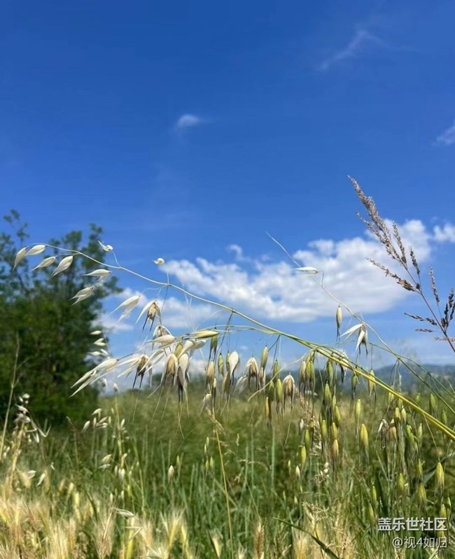 【夏日清凉】蓝天白云