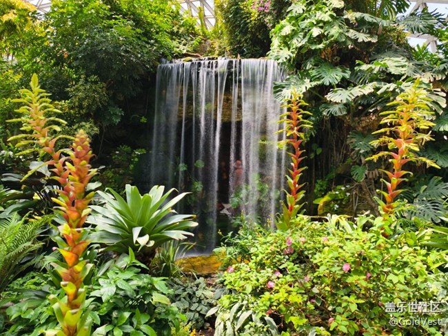 #五月满园芳——辰山植物园观花