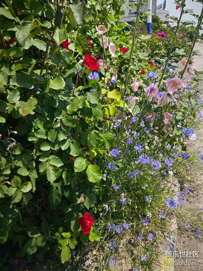 【夏日清凉】自驾游连云港-徐州