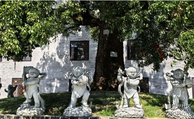 【小众秘境】开福寺