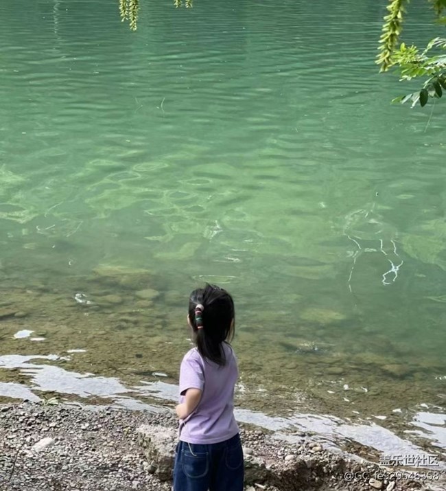 【荔枝飘香】遛娃
