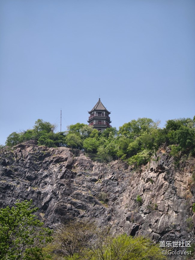 #五月满园芳——辰山植物园观花