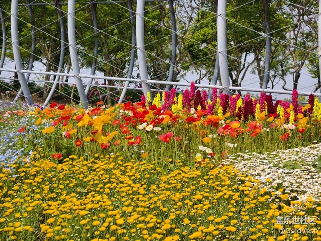 #五月满园芳——辰山植物园观花