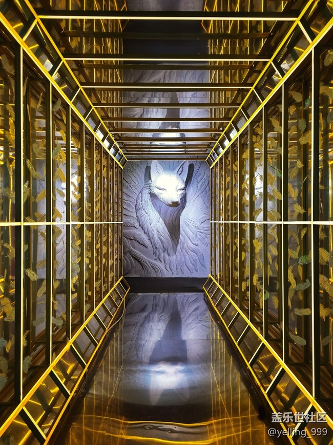 上海星部落5月10日重启九尾狐线下摄影活动回顾帖