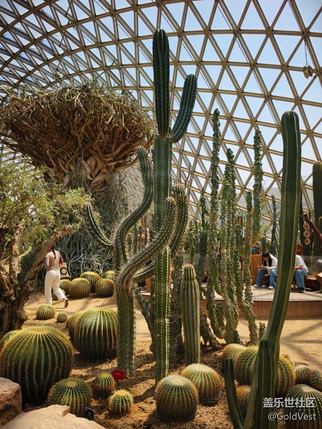 #五月满园芳——辰山植物园观花