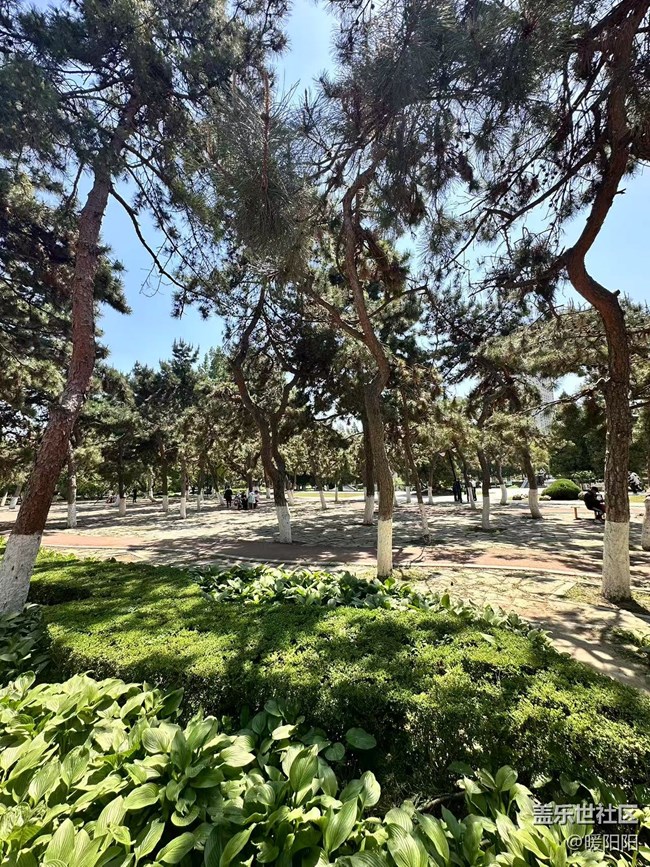 踏青赏景，沈阳中山公园，三星摄影回顾