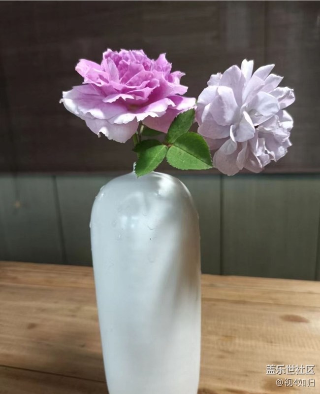 【荔枝飘香】装饰