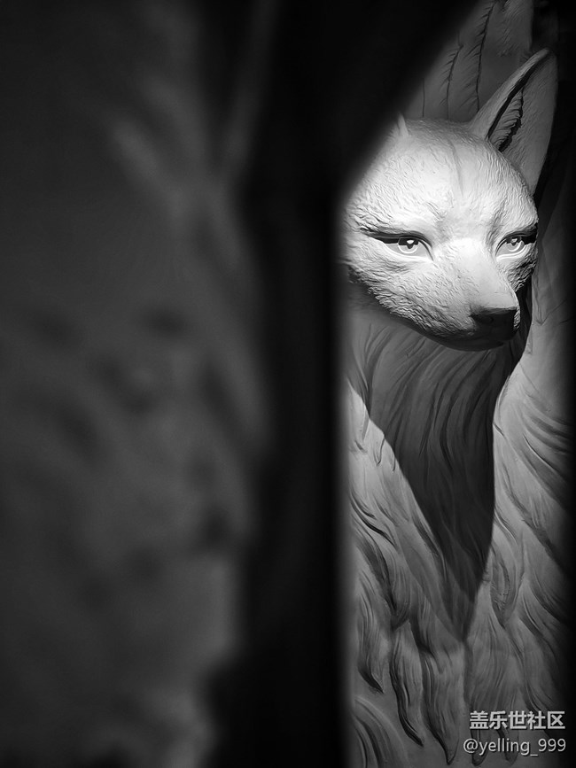 上海星部落5月10日重启九尾狐线下摄影活动回顾帖