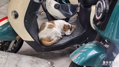 【漫旅拾光】刹那间