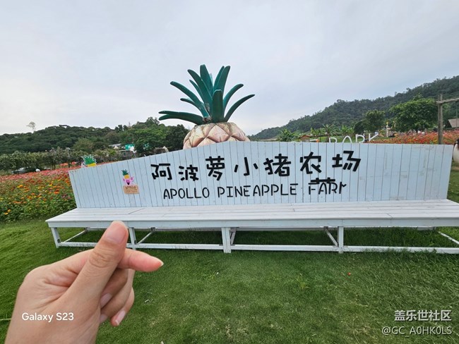 【活动回顾】在风汐谷露营的一天