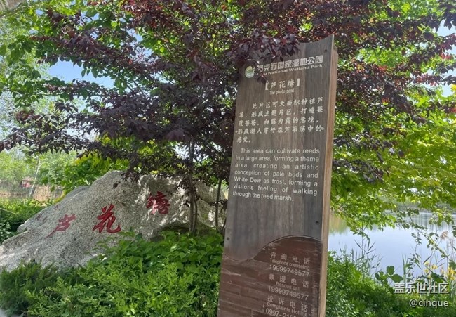 【小众秘境】阿克苏湿地公园