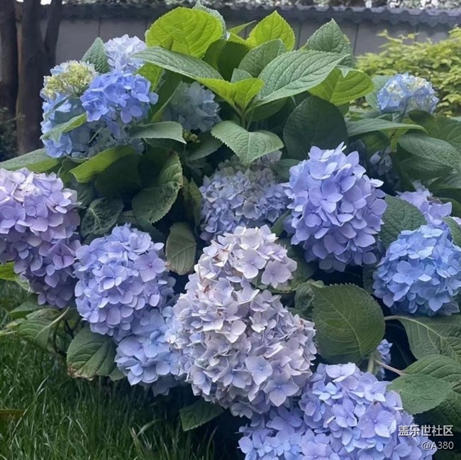 【夏日清凉】夏天了