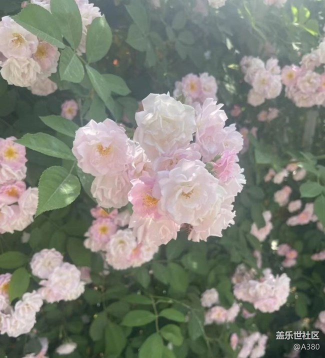 【夏日清凉】夏天了