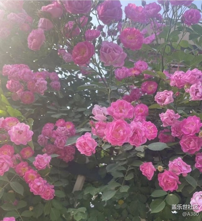 【夏日清凉】夏天了