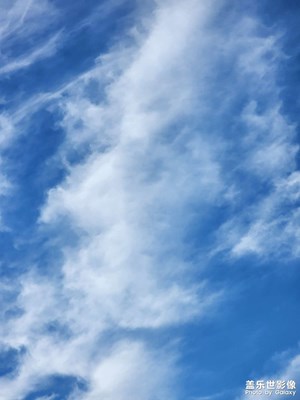 【遇见五月天】城市与自然​