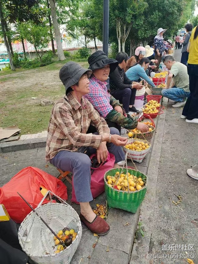 【小众秘境】塘栖古镇