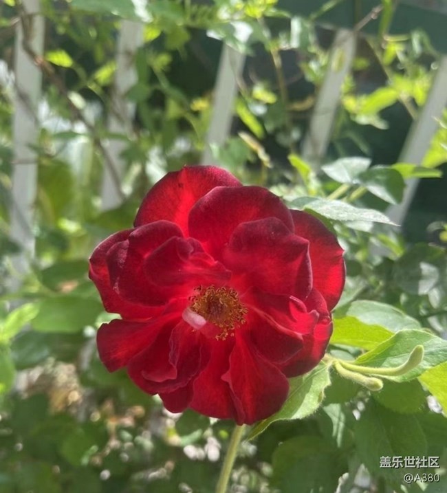 【夏日清凉】夏天了