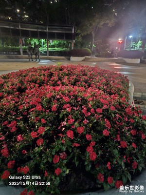 夜晚