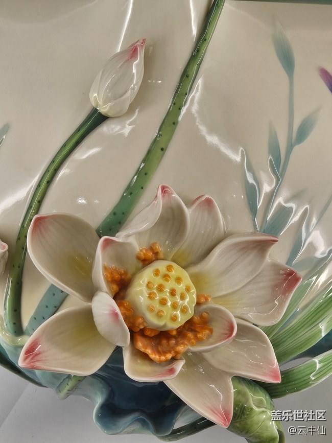 【 长焦与微距】瓷中花