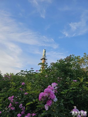 【遇见五月天】+碧树蓝天在五月